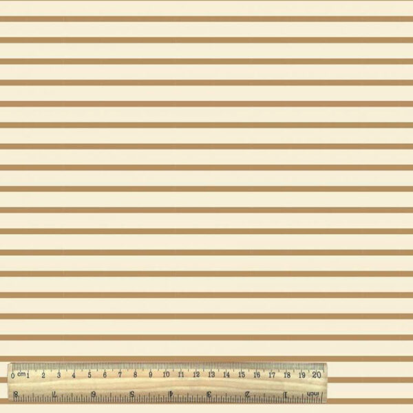 Cotton Jersey Stripe  with Ruler - Beige