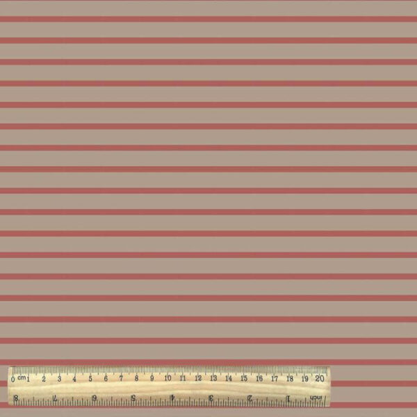 Cotton Jersey Stripe  with Ruler - Light Brown