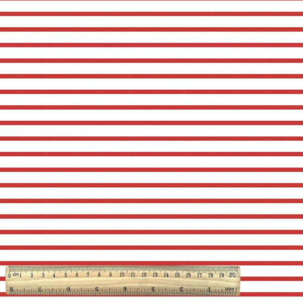 Cotton Jersey Stripe  with Ruler - Red White
