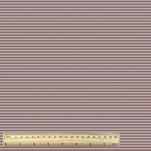 Cotton Jersey Stripe  with Ruler - Pink