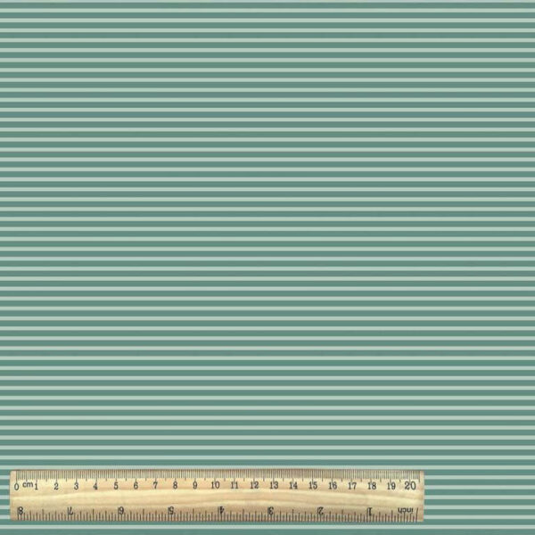 Cotton Jersey Stripe  with Ruler - Green