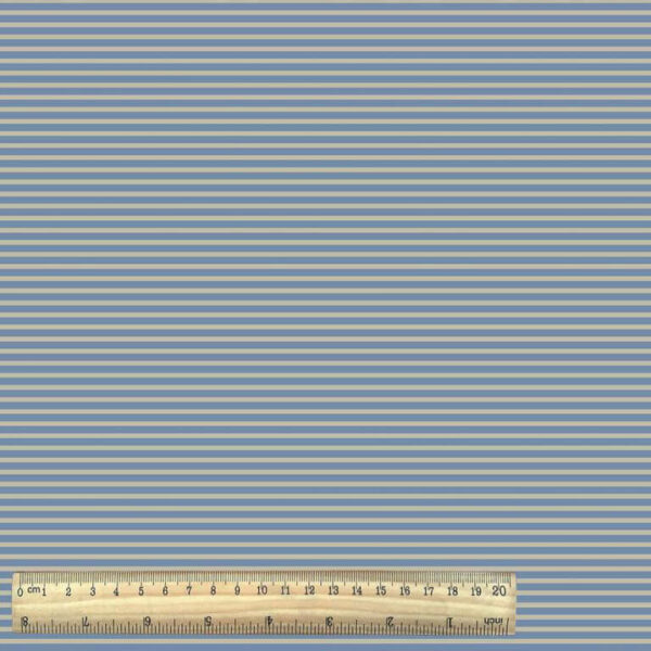 Cotton Jersey Stripe  with Ruler - Blue Beige