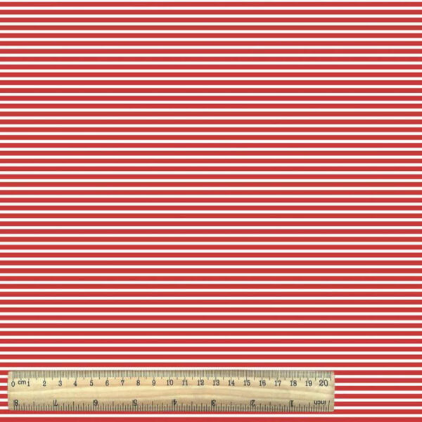 Cotton Jersey Stripe  with Ruler - White Red